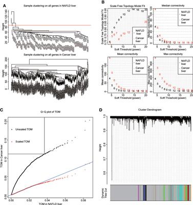 Screening of co-pathogenic genes of non-alcoholic fatty liver disease and hepatocellular carcinoma